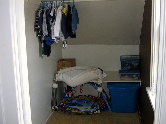 Guest Bedroom Walk-in Closet