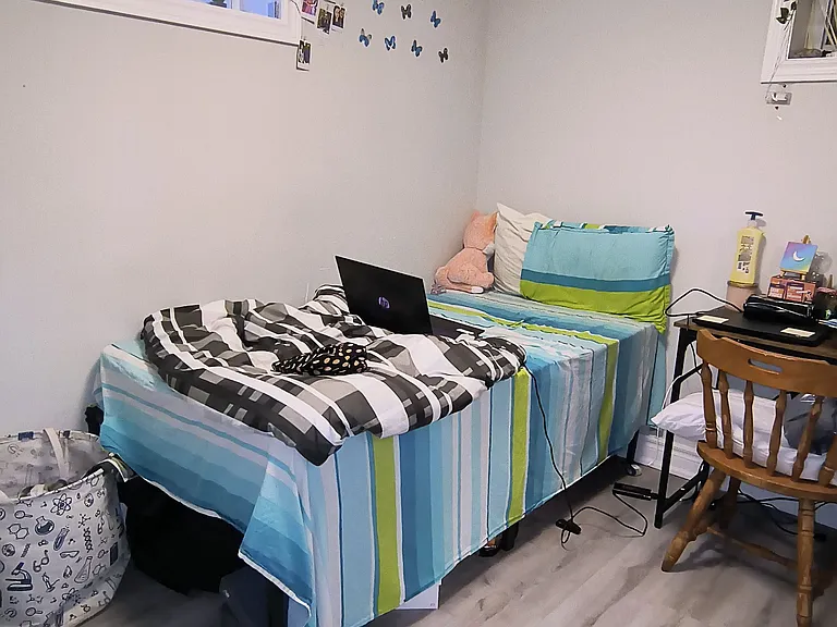 17 Gander Dr #BASEMENT — Photo 8