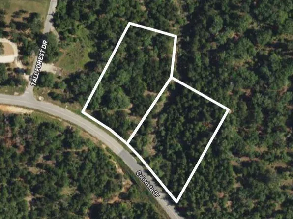 Lots 1 & 41 Colovista Dr, Bastrop, TX 78602