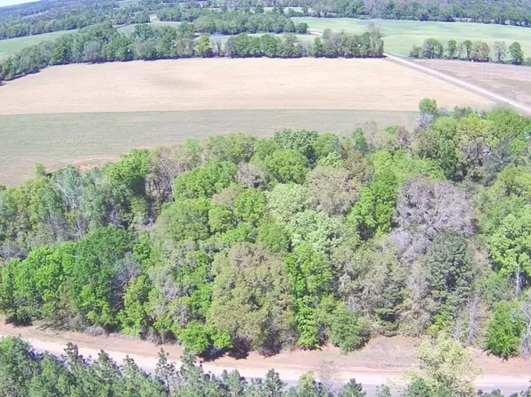 0 Hickory Grove Rd, Cottonwood, AL 36320