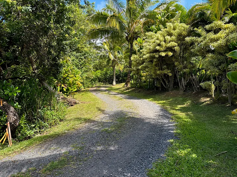 51 W Waipio Rd — Photo 6