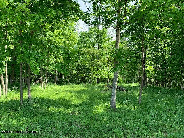 2nd image of 368 Persimmon Ridge Dr
