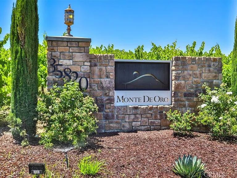 39520 Colleen Way — Photo 74