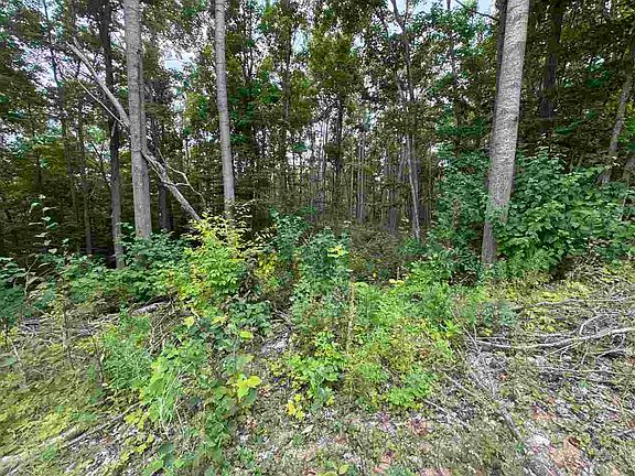 4th image of 6129 Ridge Rd Unit 60