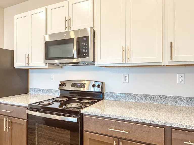 ERA at PARK 216 Apartments (Suffolk's Newest 55+ Luxury Living Community) — Photo 11