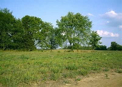 4th image of 121 Chrisman Oaks Trl