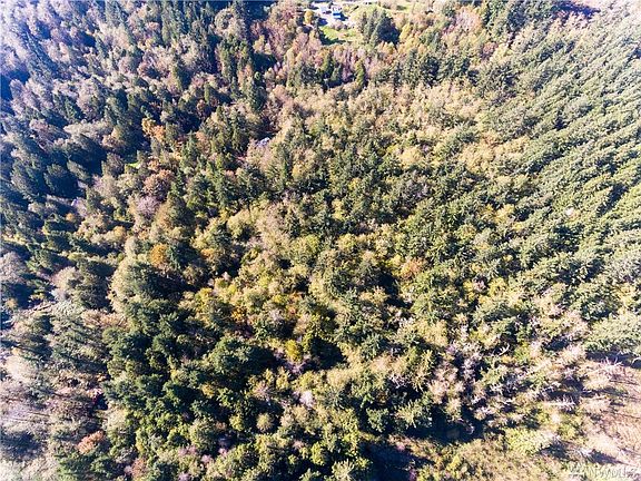 3rd image of 0 Black Bear Ln