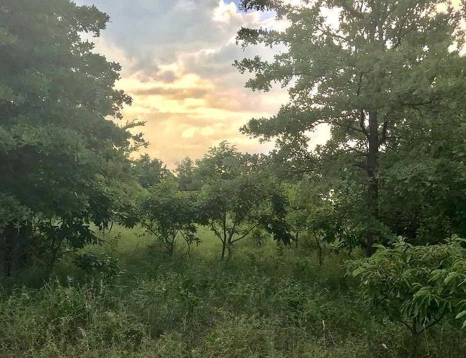 1st image of 17005 N County Road 3370