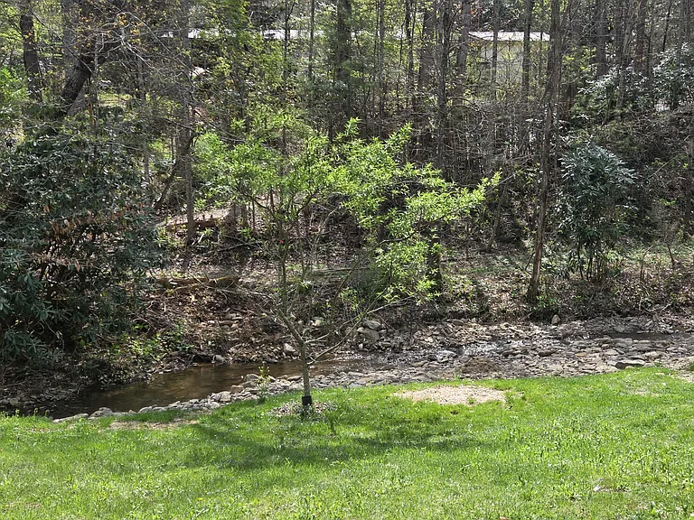 361 Warren Creek Rd — Photo 11