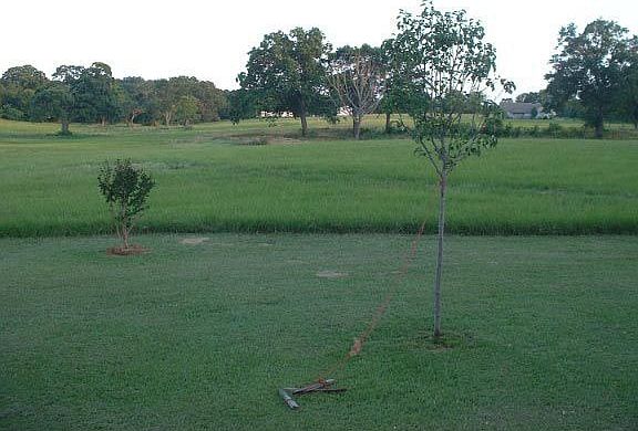 South side of property