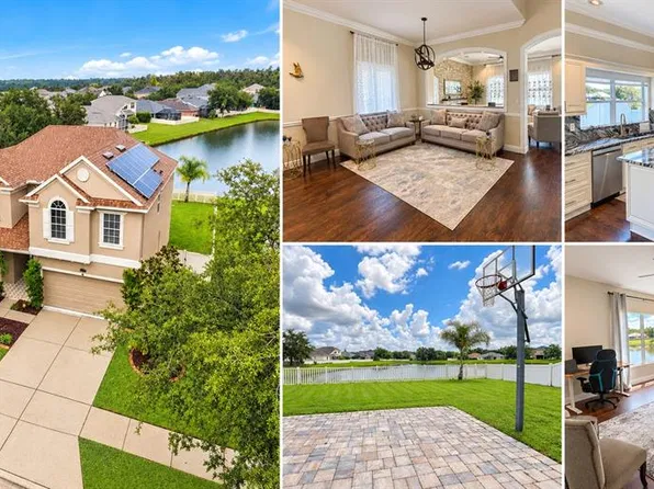 11117 ANCIENT FUTURES DRIVE, TAMPA, FL 33647