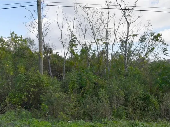 52388 Elaine St, New Orleans, LA 70126