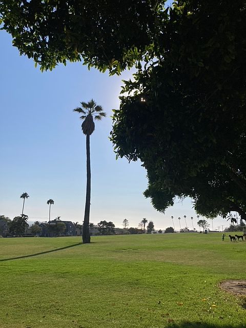 Park across the street