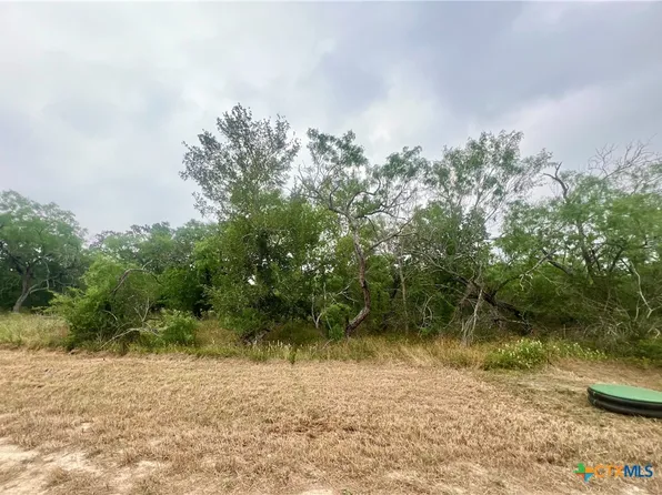 9 Wisteria Ln, Smiley, TX 78159