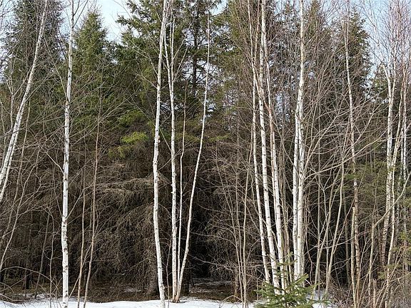 4th image of ON CTH GG