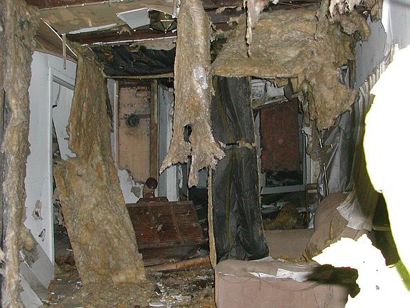 tree crushed roof 
