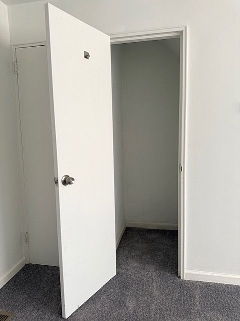 Closet in living room