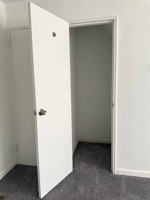 Closet in living room