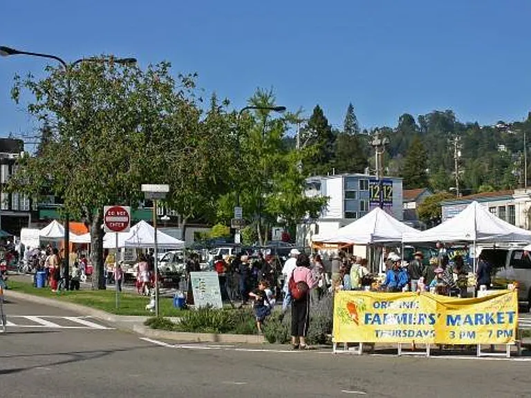Historic Charm Meets Berkeley's Gourmet Heart — Photo 21
