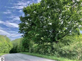 9 S Shadynook Rd, Central Lake, MI 49622