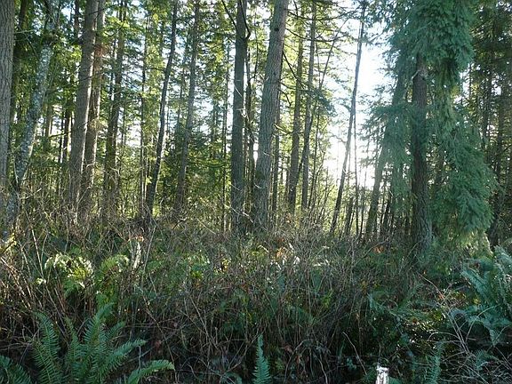 2nd image of 37202 295th Ave SE