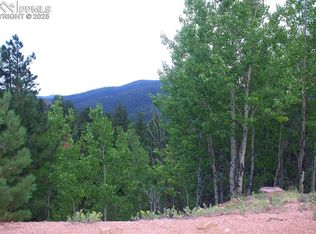 490 Grosbeak Cir, Divide, CO 80814