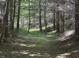 0 Glenn Creek Rd #300, Allegany, OR 97407