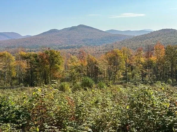 83 Twin Ponds Dr #83, Lyon Mountain, NY 12952
