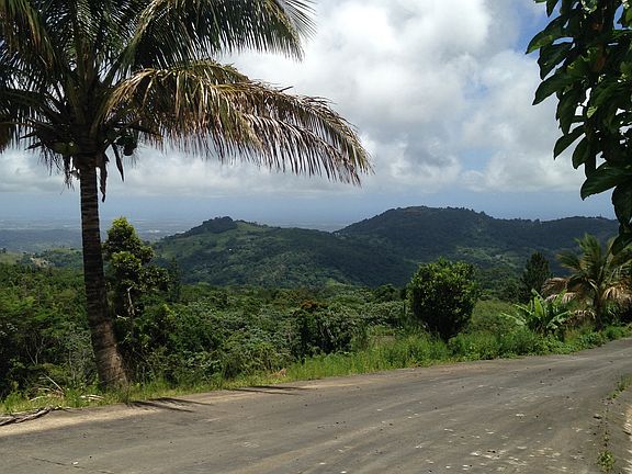 4th image of PR 186 Bo. Cubuy Km. #10.4