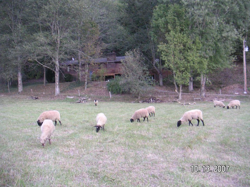 2nd image of 17660 Horton Hwy