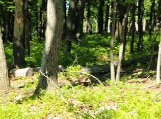 229 Cross St, Hazle Township, PA 18202