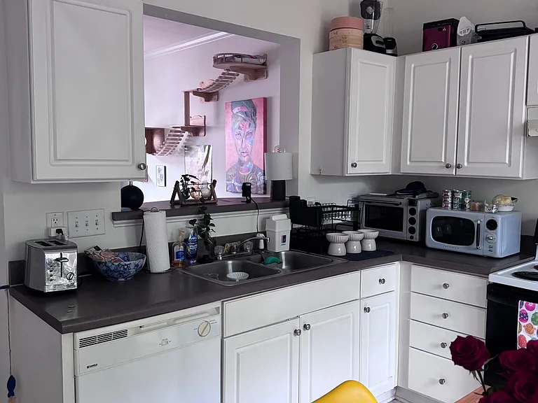 Kitchen sink and appliances