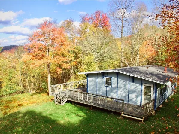 3245 Baxter Mountain Road, Downsville, NY 13755