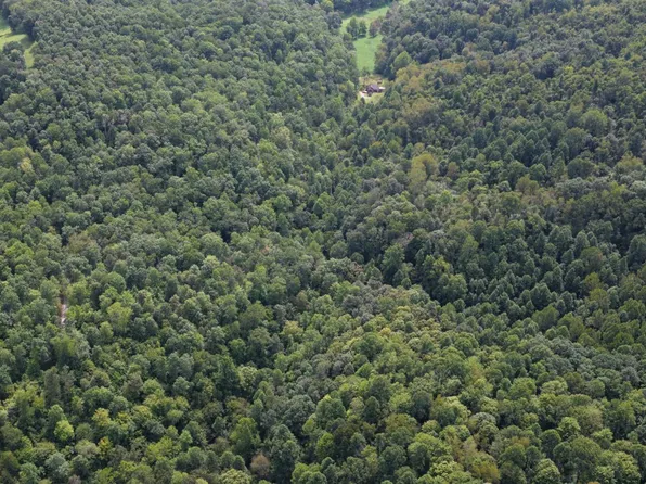 Wolfpen Run Rd, Cox Mills, WV 26187