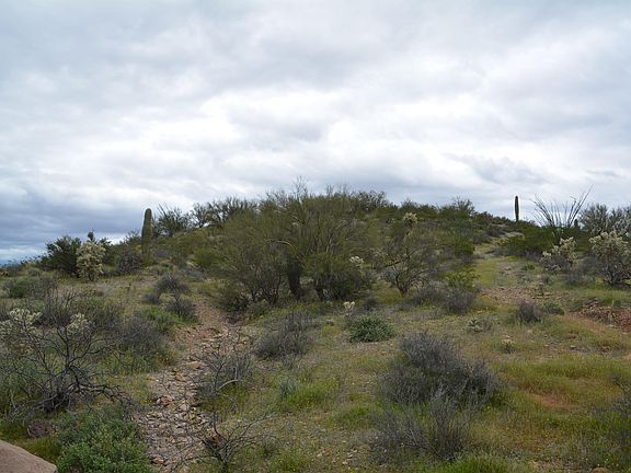 4th image of 5630 N Mountain Reserve Pl
