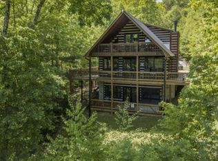 214 Austin Mountain Rd, Mineral Bluff, GA 30559