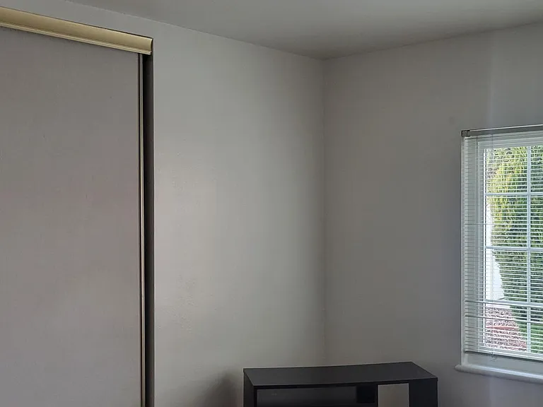 338 White Dr — Photo 20