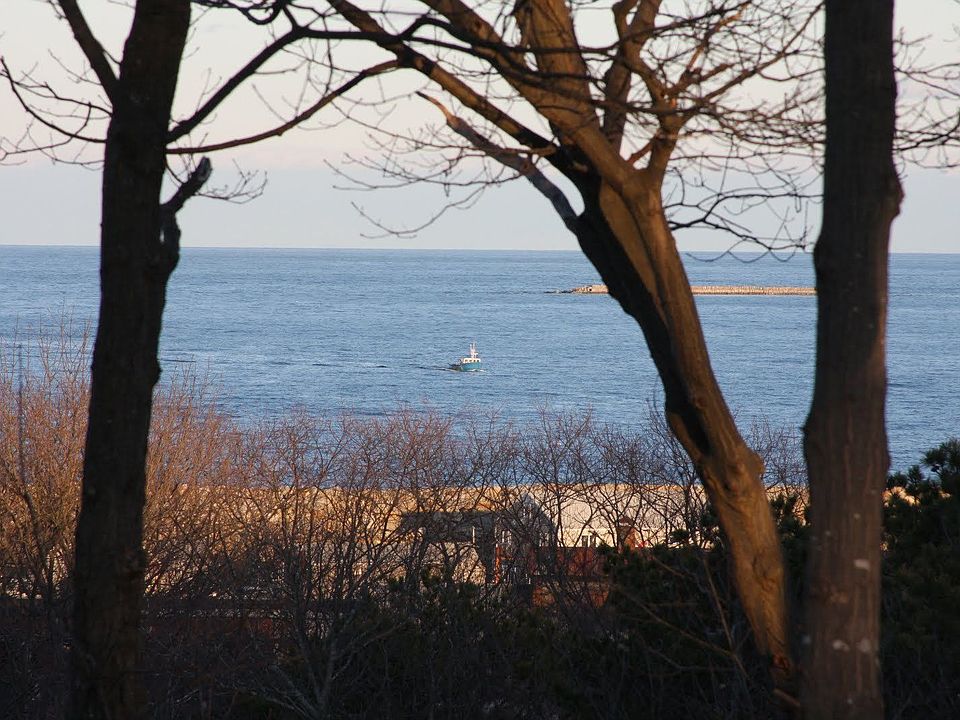 View out the back