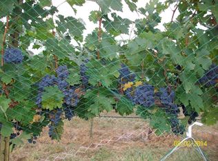 18317 Ranch Road 2242, Mason, TX 76856