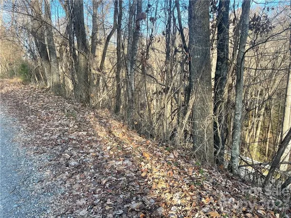0 Old Crows Rd #228-229, Lake Lure, NC 28746