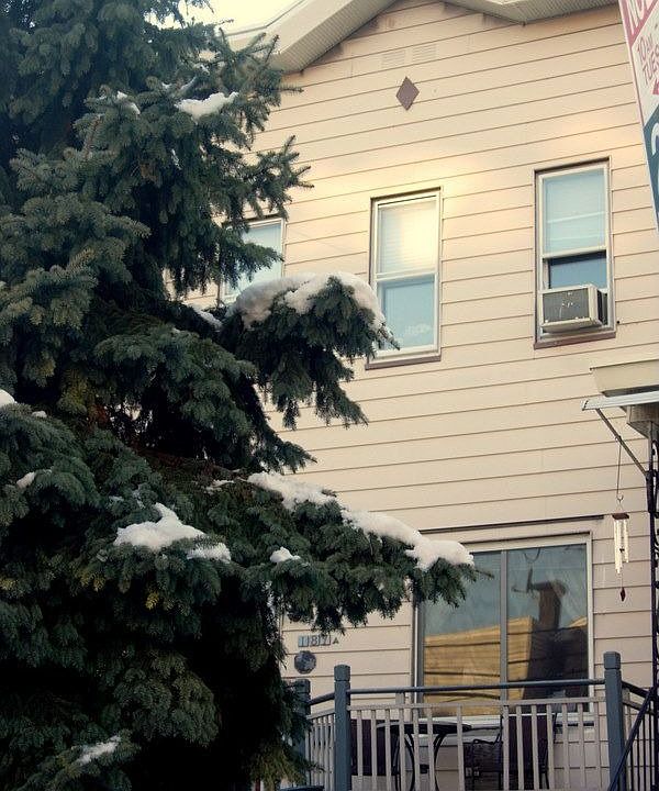 Front of house-note nice spruce tree!