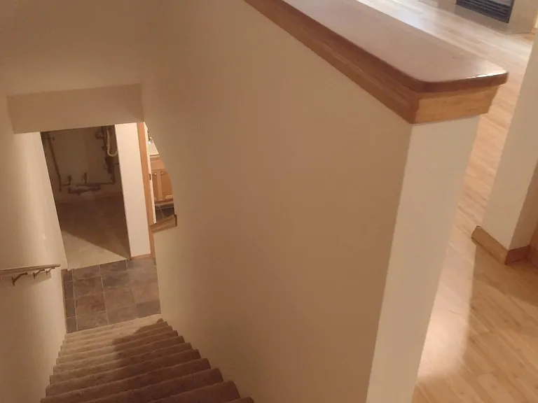 4703 S Morgan St — Photo 15