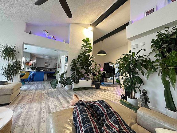 Living Room. Vaulted Ceiling