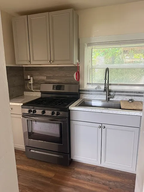 1 bed, 700 sqft, $1,250 — Photo 4