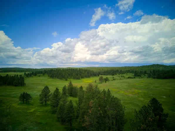 Hopkins Flats Rd, Custer, SD 57730