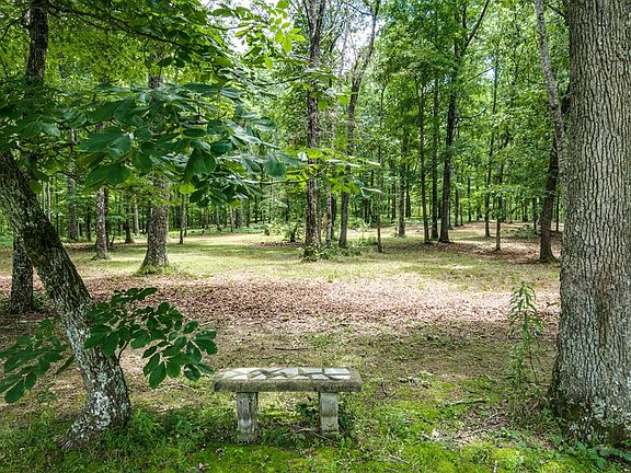 4th image of 508 Forest Dr