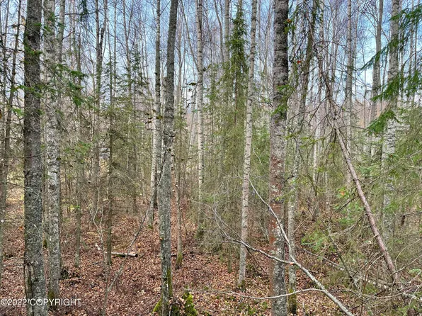 L70 Birch Creek Dr, Chugiak, AK 99567