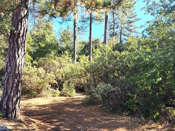 10550 Tabeaud Rd, Pine Grove, CA 95665