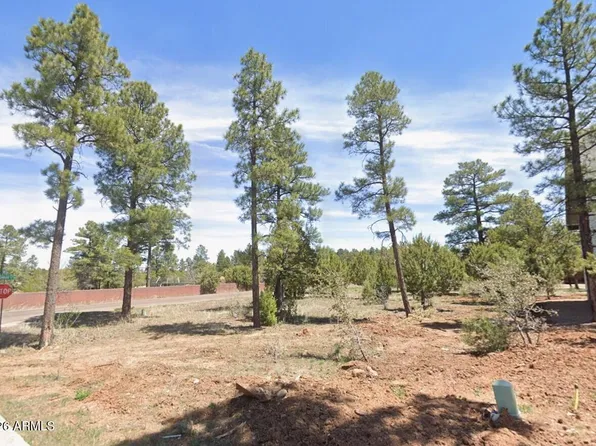 601 S CAMPBELL Lane #66, Show Low, AZ 85901