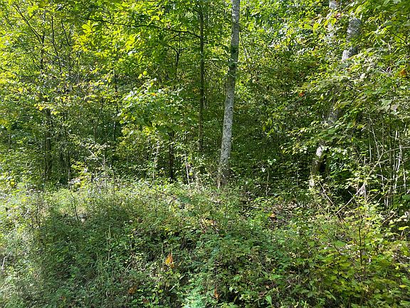 4th image of 9999 Jones Fork Rd #157-00-016.00